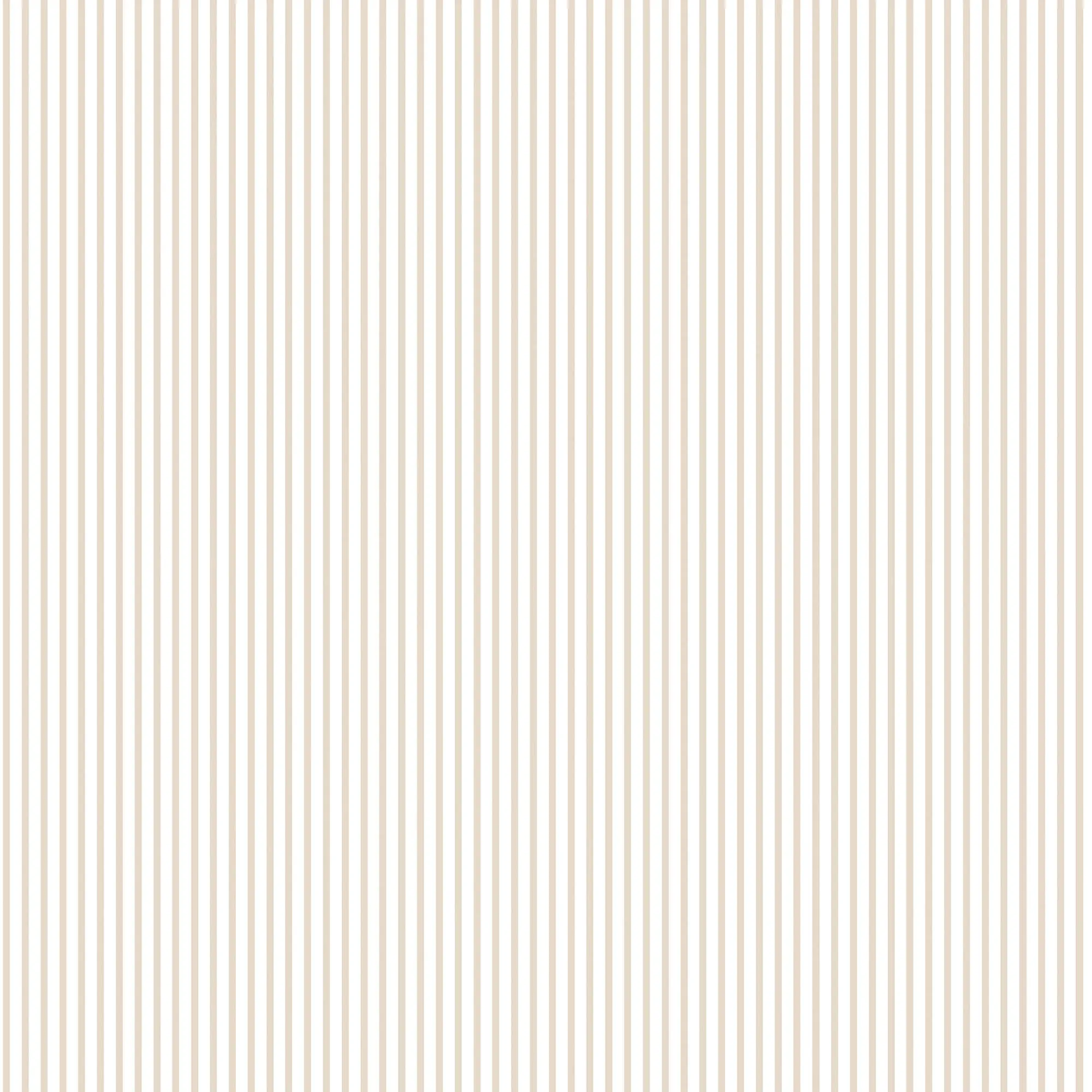 Candy Stripe Taupe Wallpaper from the Small Prints Collection