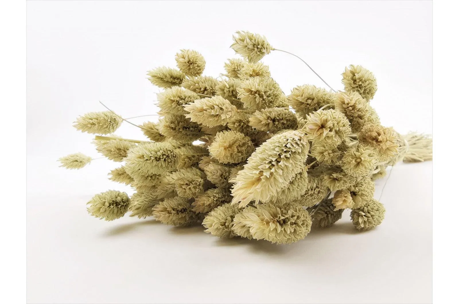 Italian Natural Phalaris Bouquet