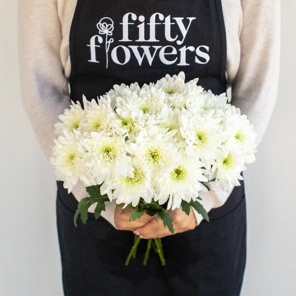 Kiss of Mint Dahlia Style Flower