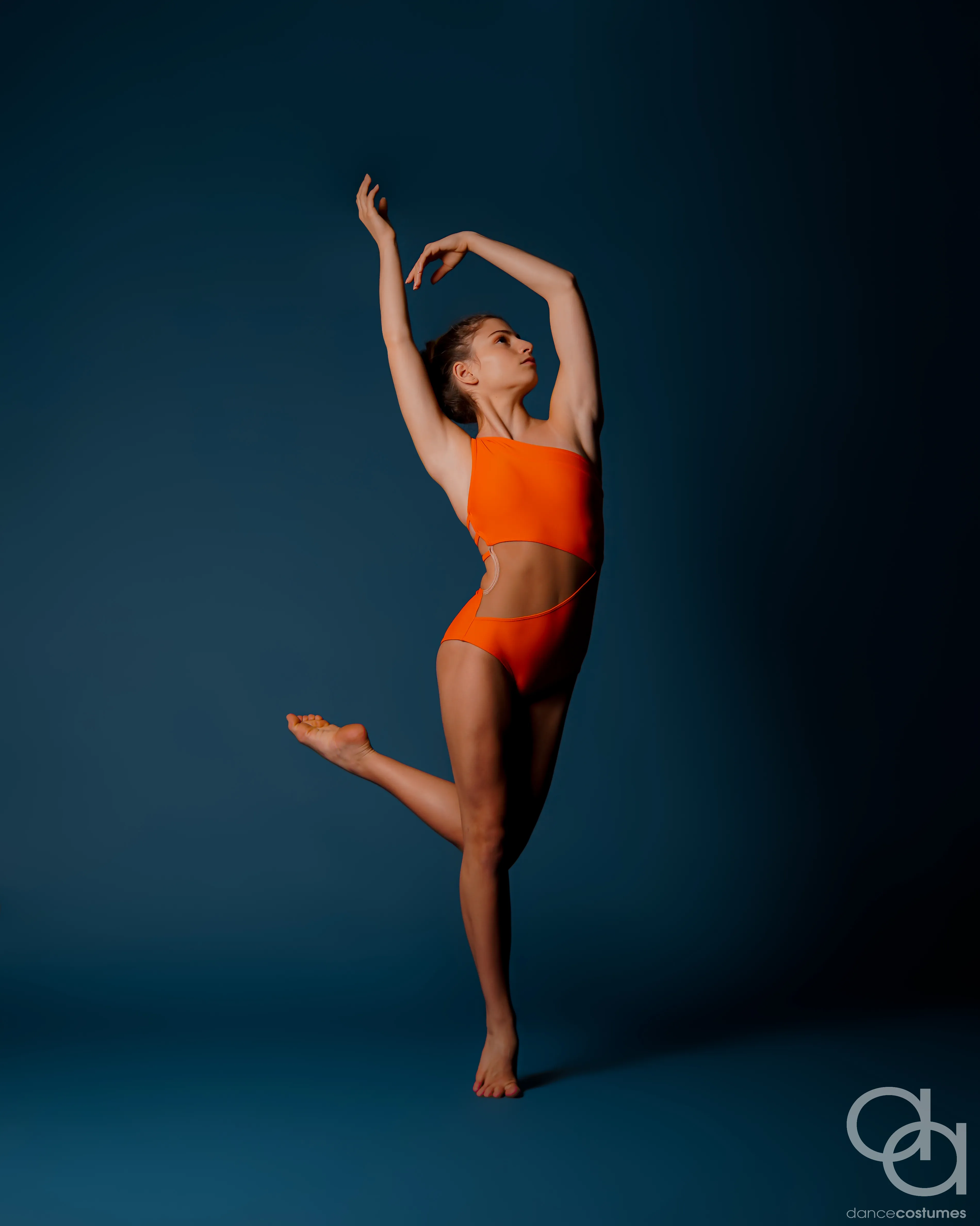 MERIDIAN LEOTARD