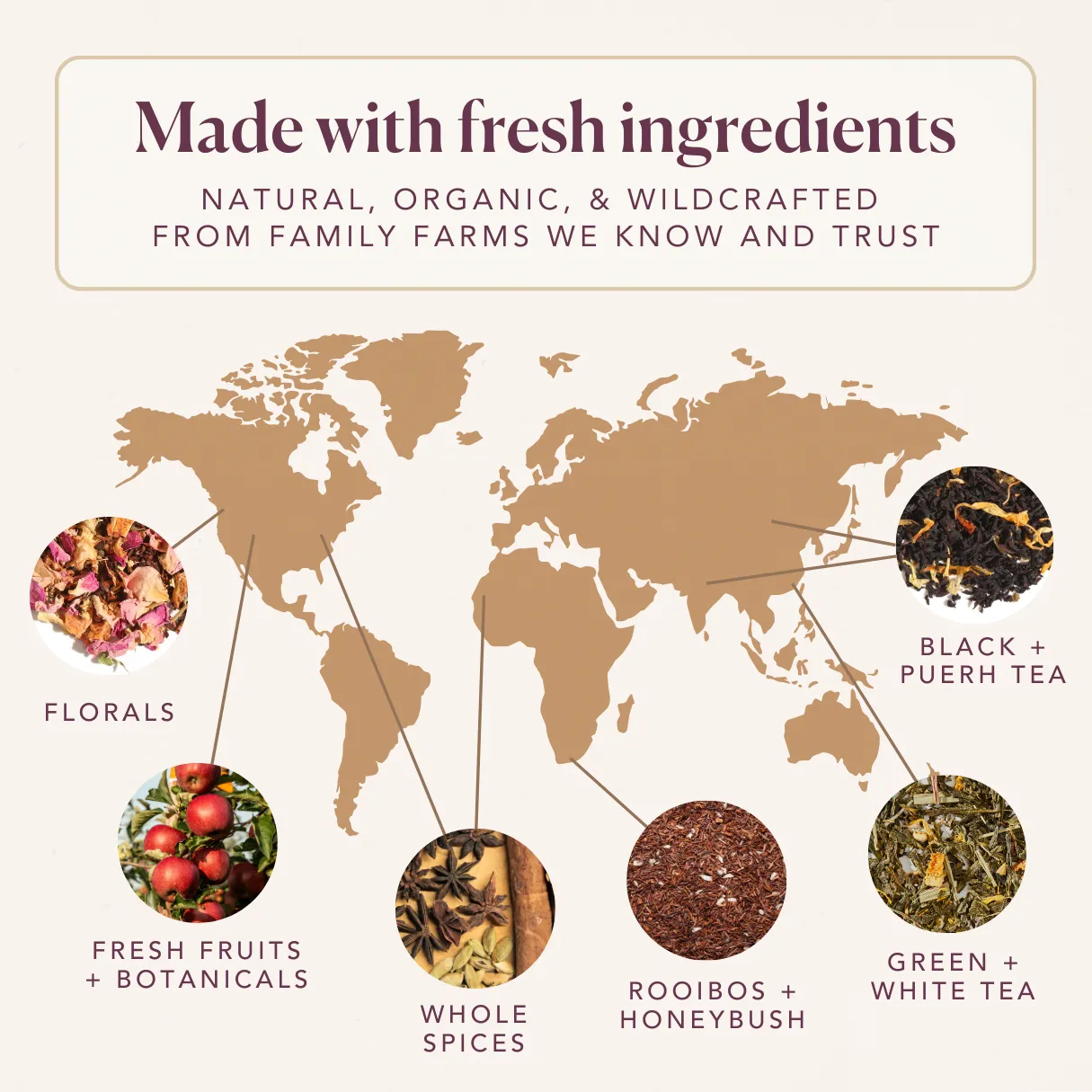 Plum Deluxe Tea Citrus Mint Green Tea (Lemon - Orange - Lemongrass - Mint)