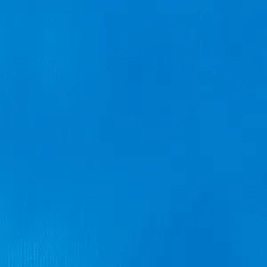 Professional Soft Body Acrylic - Brilliant Blue - Universal