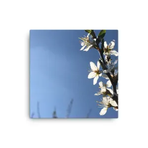 "Less is sometimes more" White Flower Canvas
