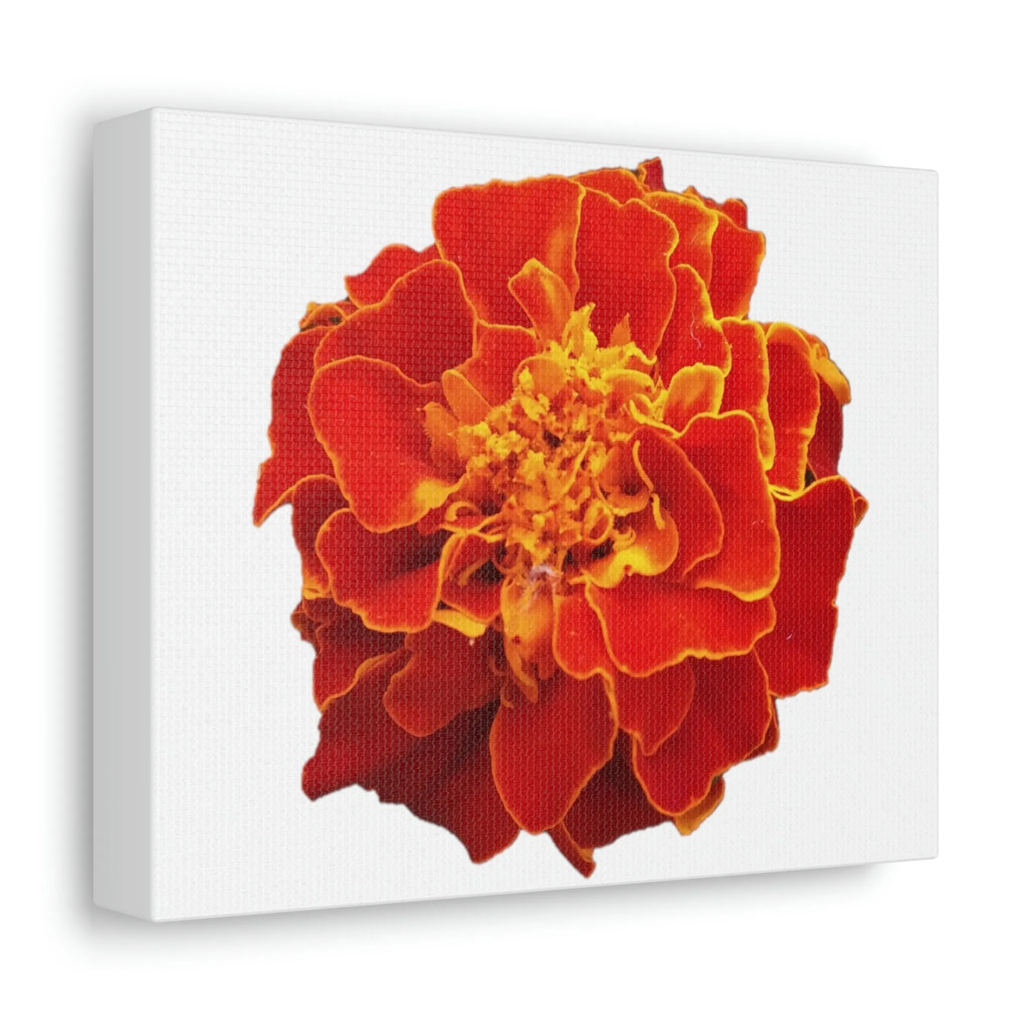 Red Yellow Flower Stretched Canvas