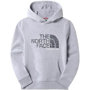 The North Face Kids Drew Peak Hoodie Light Grey Heather